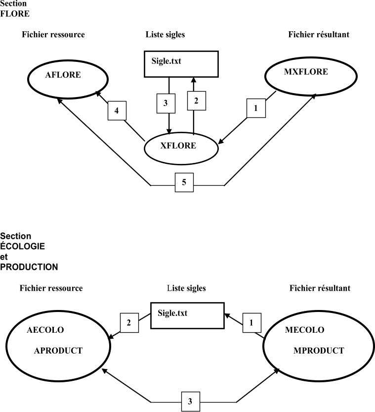 Section  FLORE          Fichier ressource                             Liste sigles                                                 Fichier résultant Section ÉCOLOGIE  et PRODUCTION          Fichier          ressource                                        Liste sigles                                        Fichier résultant Sigle.txt   AFLORE   MXFLORE   XFLORE                       1   2   3   4   5   AECOLO     APRODUCT     MECOLO     MPRODUCT       Sigle.txt   1   2   3