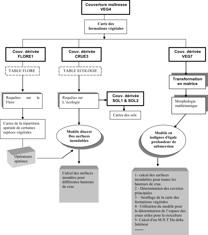 Couverture maîtresse   VEG4   Carte des   formations végétales   Couv. dérivée   FLORE1   TABLE FLORE         Requêtes sur la  Flore   Couv. dérivée   CRUE3   TABLE ECOLOGIE         Requêtes sur    L’  écologie   Modèle discret   Des surfaces  inondables   Couv. dérivée   SOL1 & SOL2   Couv. dérivée   VEG 7   Cartes de la répartition  spatiale de certaines  espèces végétales   Cartes des sols   Opérateurs  spatiaux   Transformation  en matrice   Morphologie  mathématique   Modèle en  isolignes d’ égale  profondeur de  submersion     1 -   calcul des surfaces  inondables pour toutes les hauteurs de crue.   2  -   Détermination des cuvettes  principales   3  –   Seuillage de la carte des  formations végétales   4 –   Utilisation du modèle pour  la détermination de l’  espace des  crues utiles pour la riziculture   5 -   Calcul d'un M.N.T Du delta  Intérieur   .........   …..   Calcul des surfaces  inondées pour  différentes hauteurs  de crue