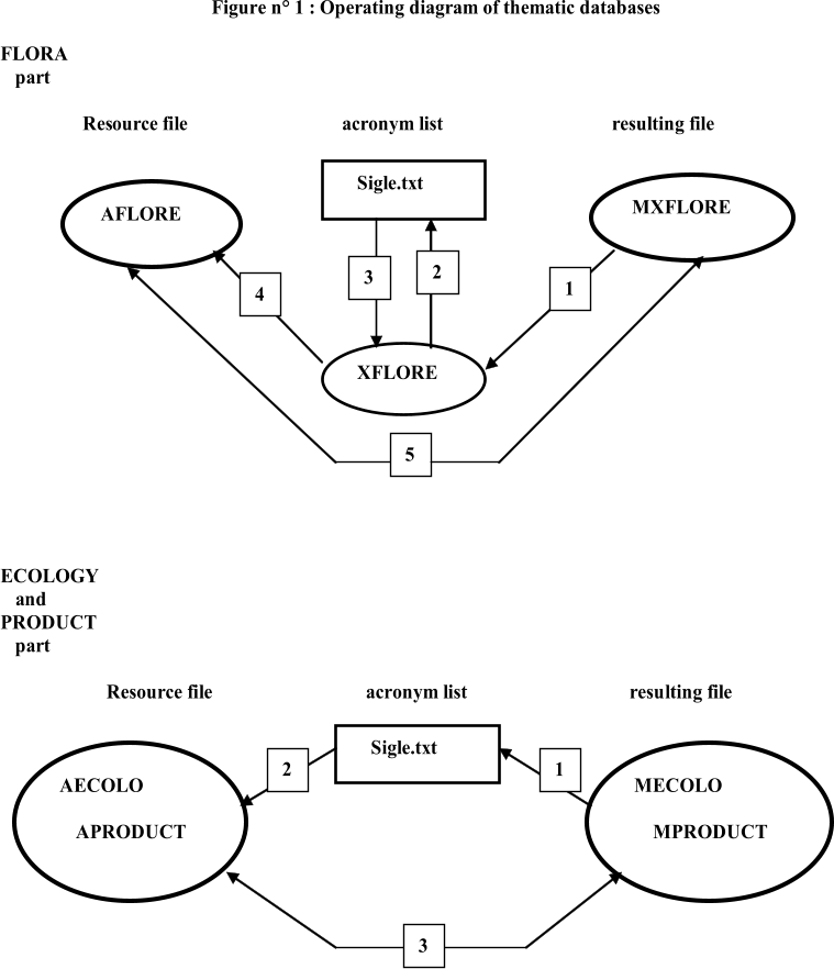 Figure n° 1 :  Operating diagram of thematic databases FLORA part Res ource file    acronym list resulting file ECOLOGY  and PRODUCT part Resource file                  acronym list                                   resulting file      Sigle.txt   AFLORE   MXFLORE   XFLORE                       1   2   3   4   5   AECOLO     APRODUCT     MECOLO     MPRODUCT            Sigle.txt   1   2   3