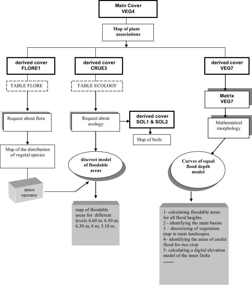 Main Cover   VEG4   Map of plant associations     derived cover   FLORE1   TABLE FLORE         Request about flora     derived cover   CRUE 3   TABLE ECOLOG Y         Request about  ecology   discreet model   of floodable  areas   derived cover   SOL1 & SOL2   derived  cover    VEG 7   Map of the distribution          of vegetal species   Map of Soils   space  operator   Matrix   VEG7   Mathematical  morphology   Curves of equal  flood depth  model     1 -   calculating floodable areas   for all flood heights .  2  -   identifying the main basins 3  –   discretizing of vegetation  map  in main landscapes.   4 –   identifyi  ng the areas of useful  flood for rice crop   5 -   calculating a digital elevation model of the inner Delta   .........      map of floodable  areas for  different   levels  : 6.60 m; 6.50 m;    6,30 m; 6 m; 5.10 m  .