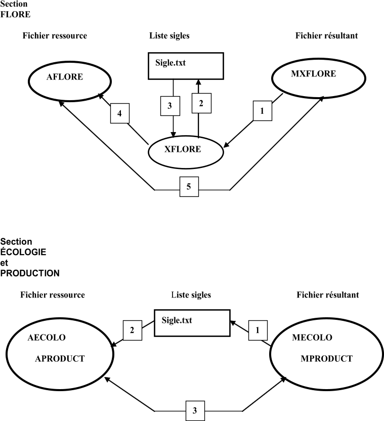 Section  FLORE          Fichier ressource                             Liste sigles                                                 Fichier rsultant Section COLOGIE  et PRODUCTION          Fichier          ressource                                        Liste sigles                                        Fichier rsultant Sigle.txt   AFLORE   MXFLORE   XFLORE                       1   2   3   4   5   AECOLO     APRODUCT     MECOLO     MPRODUCT       Sigle.txt   1   2   3