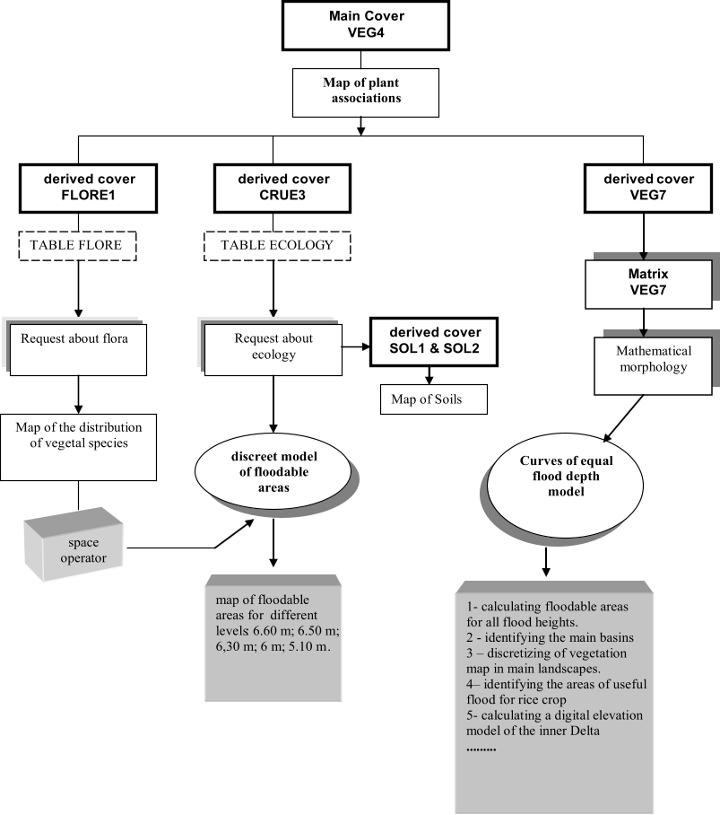 Main Cover   VEG4   Map of plant associations     derived cover   FLORE1   TABLE FLORE         Request about flora     derived cover   CRUE 3   TABLE ECOLOG Y         Request about  ecology   discreet model   of floodable  areas   derived cover   SOL1 & SOL2   derived  cover    VEG 7   Map of the distribution          of vegetal species   Map of Soils   space  operator   Matrix   VEG7   Mathematical  morphology   Curves of equal  flood depth  model     1 -   calculating floodable areas   for all flood heights .  2  -   identifying the main basins 3     discretizing of vegetation  map  in main landscapes.   4    identifyi  ng the areas of useful  flood for rice crop   5 -   calculating a digital elevation model of the inner Delta   .........      map of floodable  areas for  different   levels  : 6.60 m; 6.50 m;    6,30 m; 6 m; 5.10 m  .